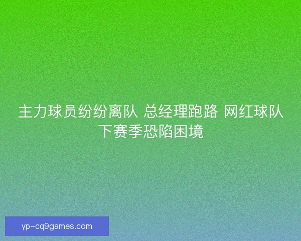 主力球员纷纷离队 总经理跑路 网红球队下赛季恐陷困境